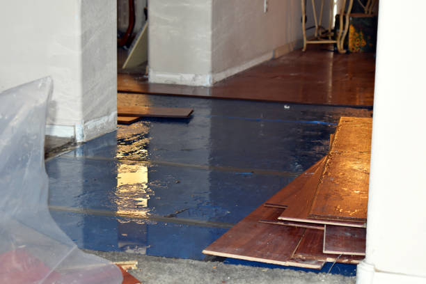 Professional Burst Pipe Cleanup technician working in Reedley, CA